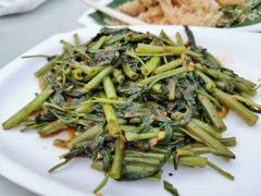 炒通菜-纽顿熟食中心