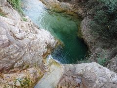 -南海湾森林生态园