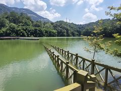 -广州市流溪河国家森林公园