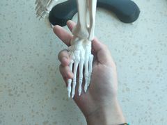 -张钰强中医正骨推拿连锁(华发商都店)