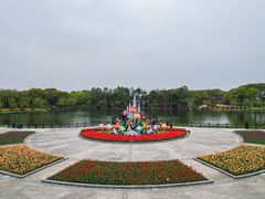 -上海鲜花港