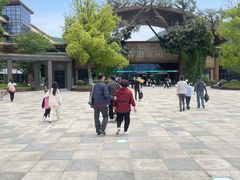 -杭州开元森泊度假乐园