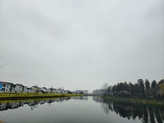 -渌洋湖湿地公园