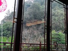 -十八棵（老龙井）御茶园(老龙井店)