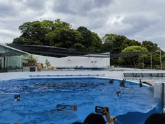 -西海国立公园九十九岛水族馆