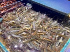 -聚盛源蒸汽海鲜火锅烤肉自助(巨川金海岸购物广场店)