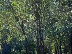 -玉渡山自然风景区