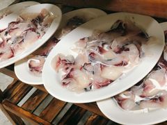 脆肉皖-荔景渔庄