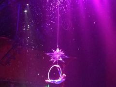 -珠海横琴长隆《卡卡虎奇遇记》