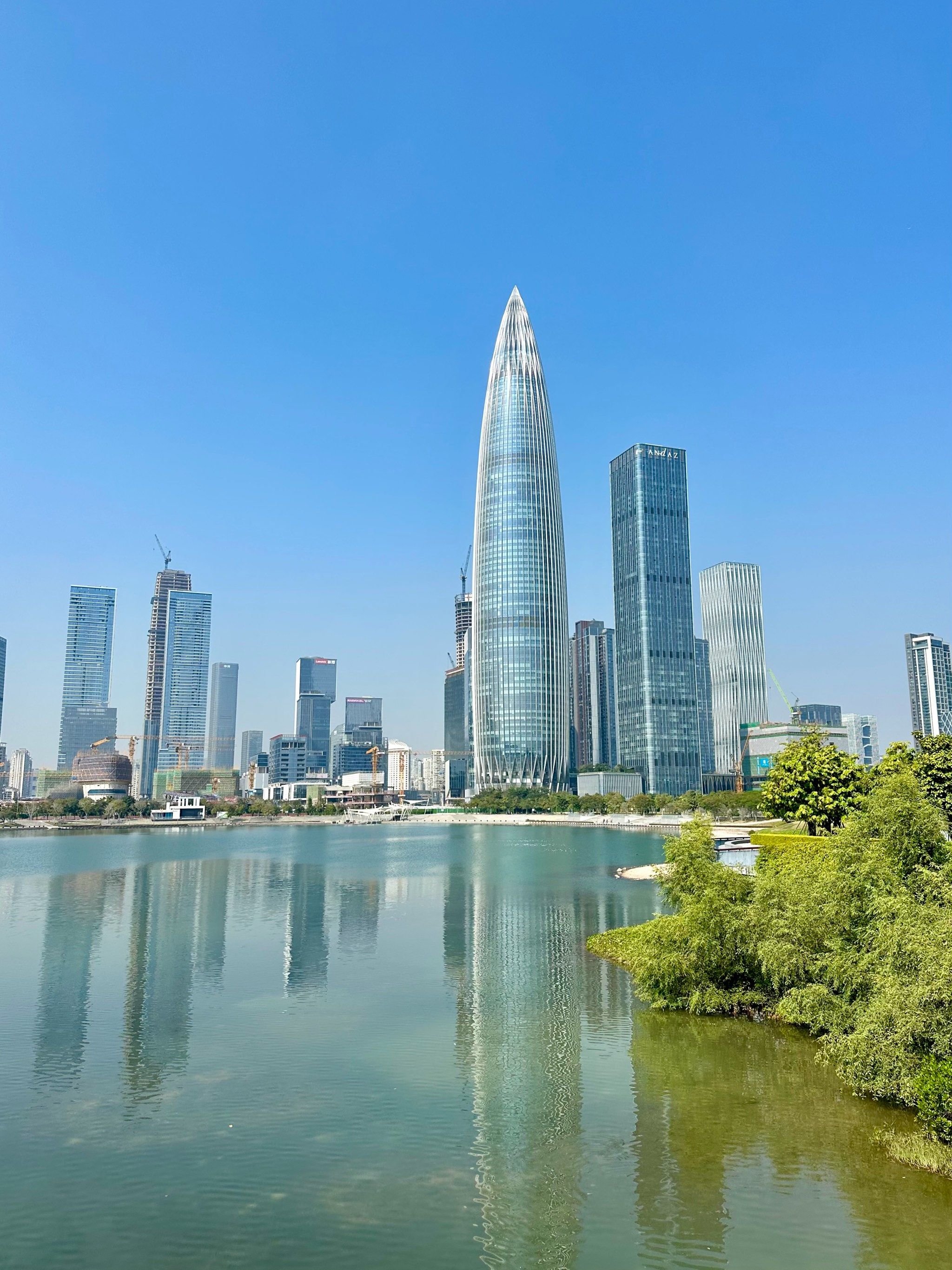冬日里的深圳湾公园