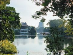 -荔湾湖公园