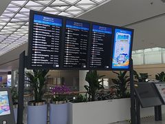 -青岛胶东国际机场
