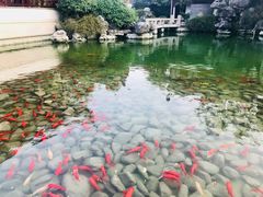 -祝家花園(伯渎港店)