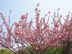 -双拥公园