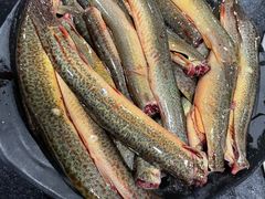 -铜元老码头鳝鱼火锅