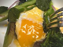 -Ocean's Table 欧舍