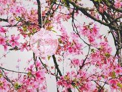 -宝墨园景区