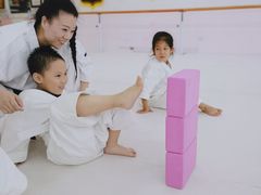 -极真空手道修远道场