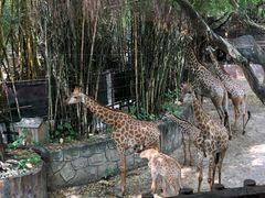 -长鹿旅游休博园