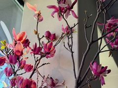 -BOCATA 西班牙餐厅(三里屯店)