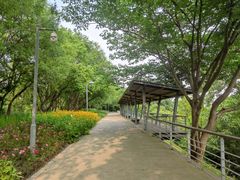 -西湖风景区-江洋畈生态公园