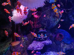 -沈阳海洋探索中心