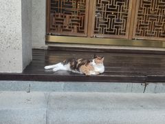 -太极禅苑