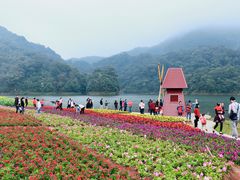 -广州市石门国家森林公园