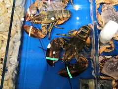 -新洪记·丽久饭店(铁西店)