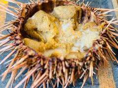 -海胆小馆(东北水饺·春柳店)