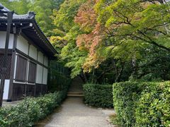 -常寂光寺