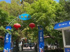 -上海共青森林公园