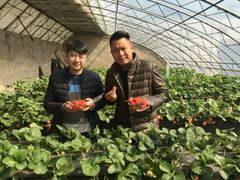 -北京72度温泉度假民宿