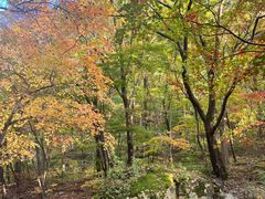 -本溪老边沟风景区