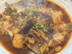 -全乐鱼馆·淳牌有机鱼直营店