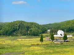 -泽雅景区