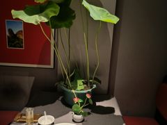 -观宴·品质赣菜(高新大道店)