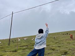 -橡皮山