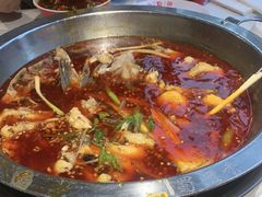 -蜀滋香鲜鱼美蛙火锅(339店)