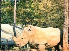 -清迈夜间动物园