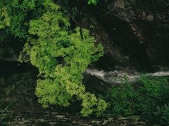 -雁荡山三折瀑景区