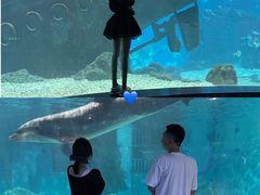 -福州罗源湾海洋世界旅游区