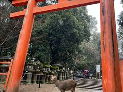 -奈良公园