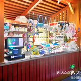 探索绿意世界