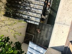 -余姚阳明温泉山庄