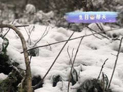 -九峰山