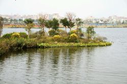 android_upload_pic-云湖游乐园