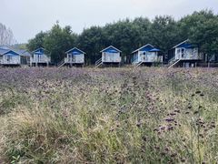 -紫海香堤香草艺术庄园