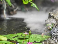 -花锦堂·隐庐