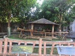 -清迈夜间动物园